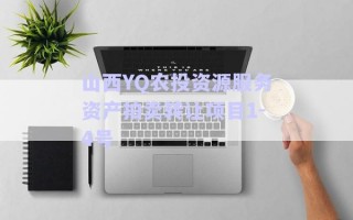 山西YQ農(nóng)投資源服務(wù)資產(chǎn)拍賣轉(zhuǎn)讓項目1-4號