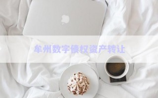 牟州數(shù)字債權(quán)資產(chǎn)轉(zhuǎn)讓 牟州數(shù)字債權(quán)資產(chǎn)轉(zhuǎn)讓