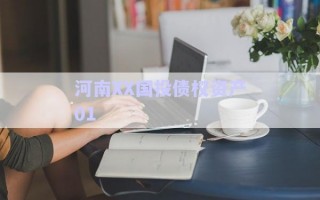 河南XX國投債權(quán)資產(chǎn)01 河南XX國投債權(quán)資產(chǎn)01