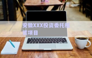 安徽XXX投資委托租賃項目