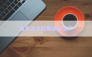 山東正方控股債權(quán)資產(chǎn) 山東正方控股債權(quán)資產(chǎn)