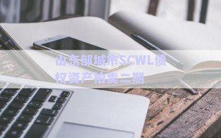 山東鄒城市SCWL債權資產(chǎn)拍賣二期