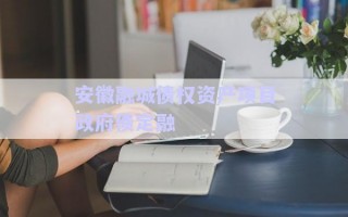 安徽融城債權(quán)資產(chǎn)項目政府債定融