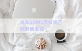山東SDWL債權(quán)資產(chǎn)政府債定融 山東SDWL債權(quán)資產(chǎn)政府債定融