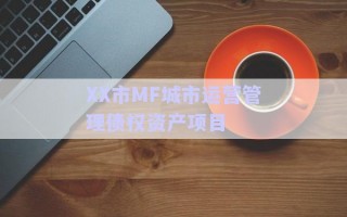 XX市MF城市運營管理債權(quán)資產(chǎn)項目