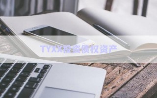 TYXX投資債權資產(chǎn) TYXX投資債權資產(chǎn)