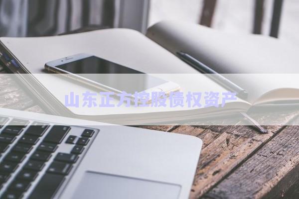 山東正方控股債權資產(chǎn)-第1張圖片-政信固收網(wǎng)
